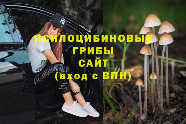 каннабис Инта